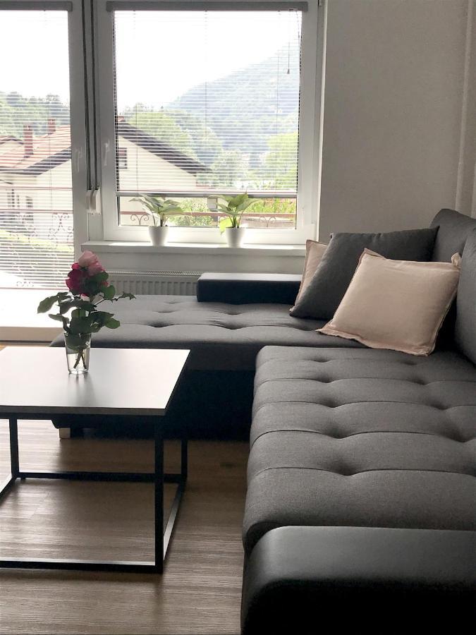 Apartment Loyd, Tolmin - Most Na Soci Exterior photo
