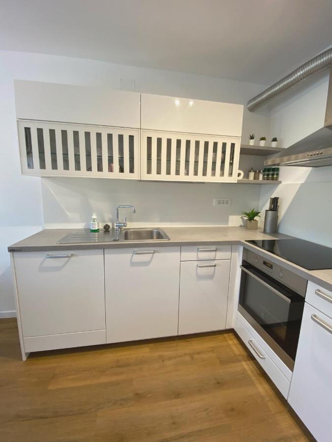 Apartment Loyd, Tolmin - Most Na Soci Exterior photo